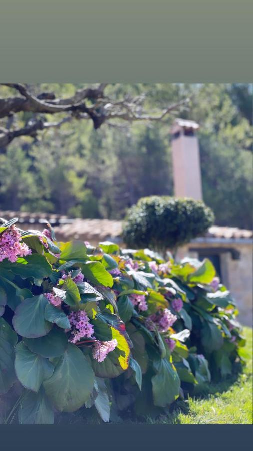 Masia Cap Del Roc Vallcebre Экстерьер фото